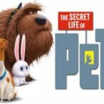 Movies on the Square: Secret Life of Pets