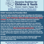 Connections Spotlight: CCC&Y Increases Its Prevention Work